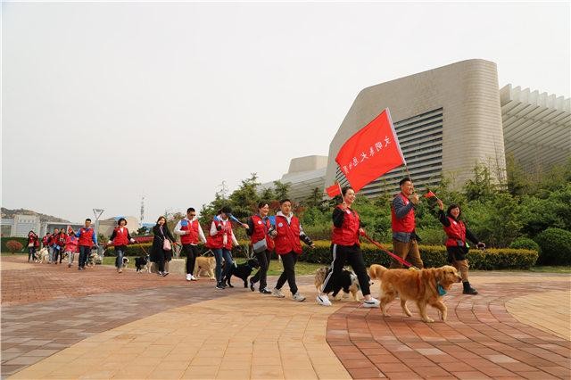 青岛：50只宠物狗当“志愿者” 列队奔走为文明养犬代言