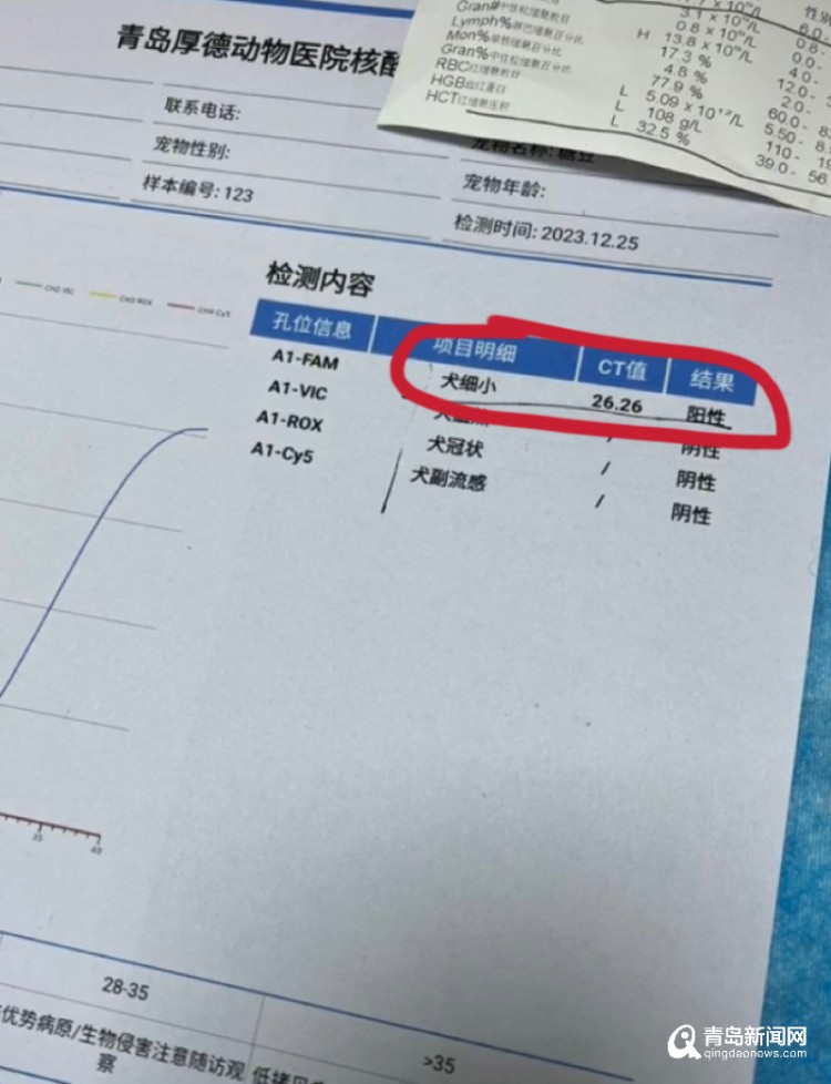 青岛市民花2670买到星期狗死亡后店家拒绝退款