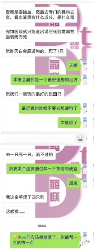 东莞一草坪有多只狗疑遭毒害！警方表示已接报案在调查中