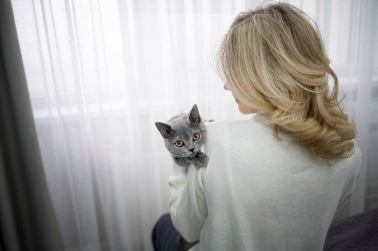 奥丁猫粮怎么样奥丁猫粮是毒猫粮吗