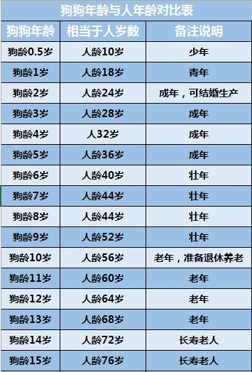 狗和人的年龄转换，你家的毛孩多大？